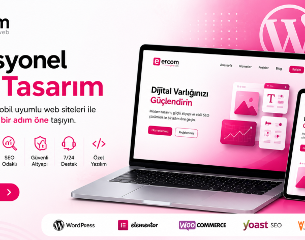 Profesyonel Web Tasarım